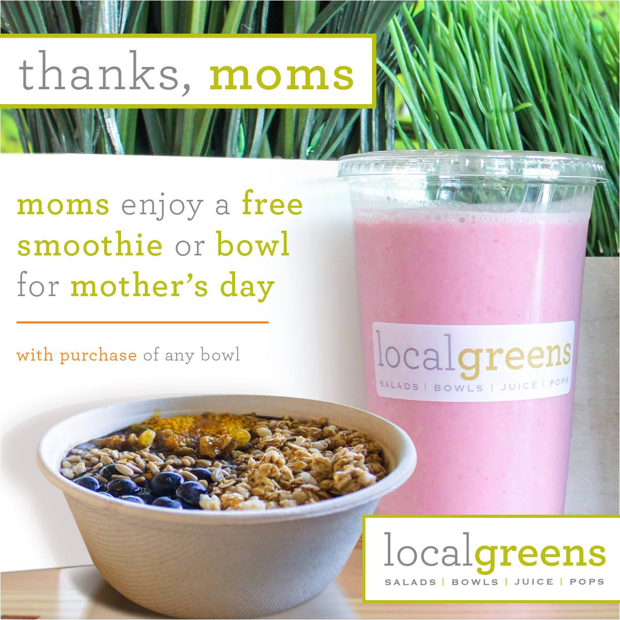 Localgreens-Mothers-day-Special-1-bN81xL.tmp_-Epa97h.tmp_