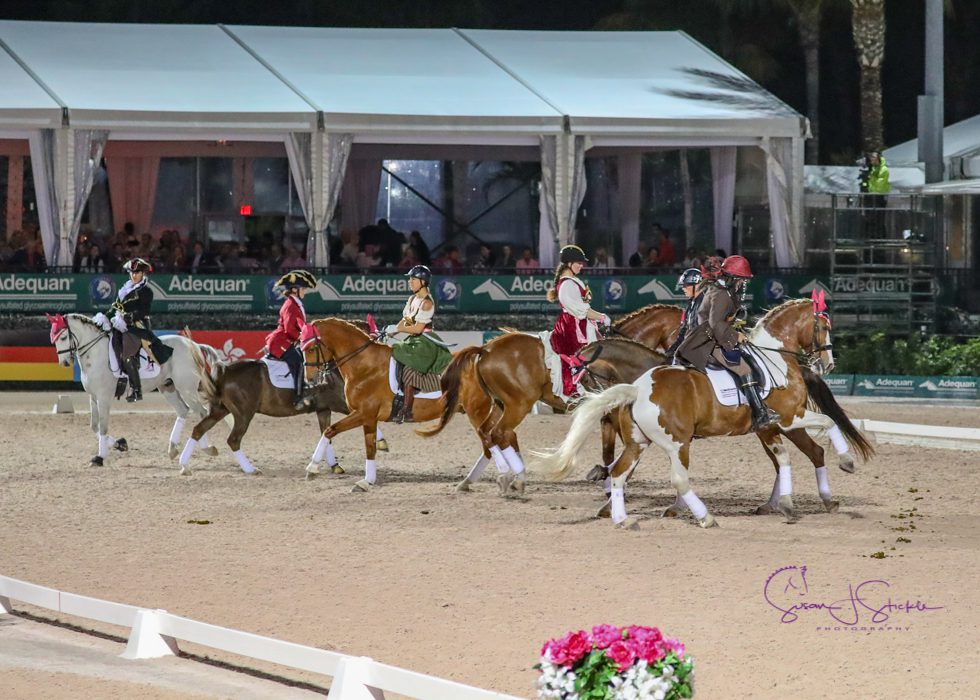 2019COTA9GD93048C2A9susanjstickle.com_-7m0gZU.tmp_-1blca5.tmp_