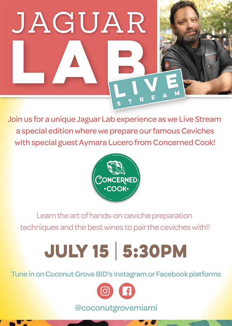 Jaguar_Lab_Live_Stream-0zrTGt.tmp_-s1IA6G.tmp_