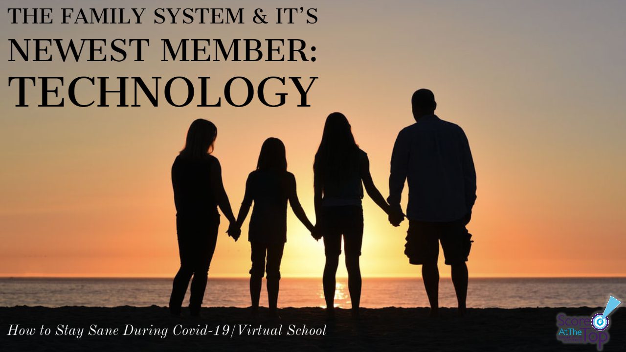 Family-System-Webinar-mdbKtU.tmp_-eAE2Xf.tmp_