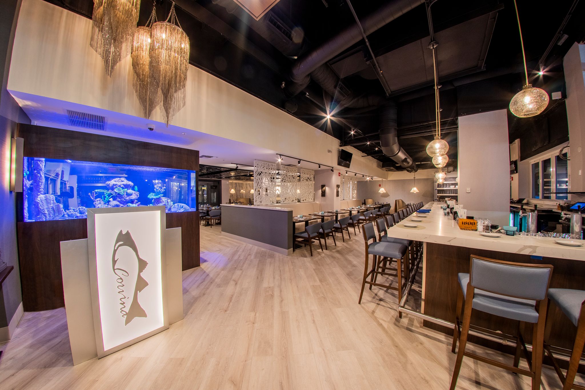 Corvina (002)