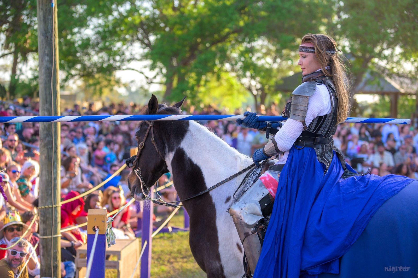 34th Annual Florida Renaissance Festival (SAT and SUN; Feb.7 – March 29)